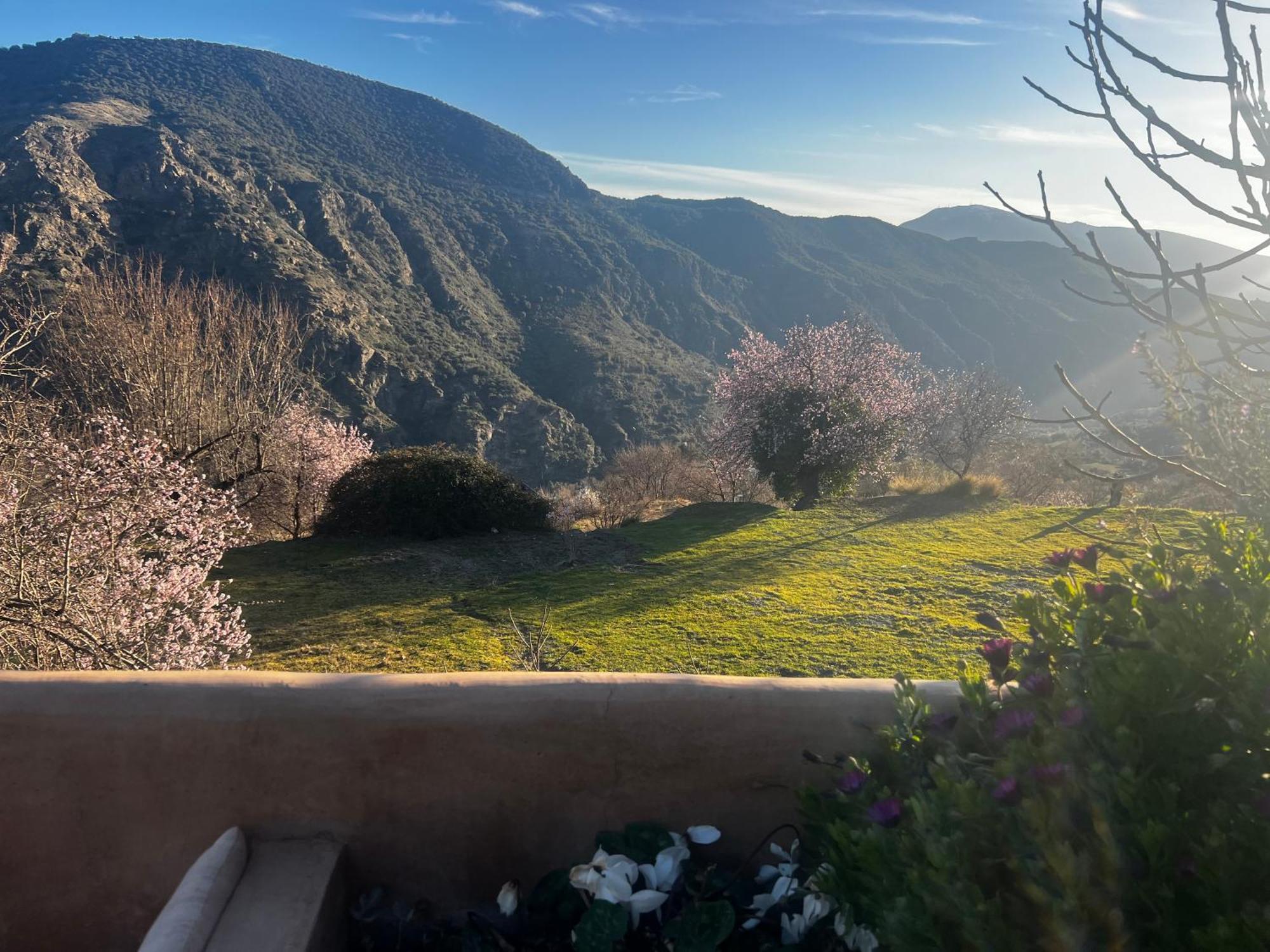 Rural House, Heated Pool & Steam Room, Casa Aloe. Atalbeitar Exterior foto